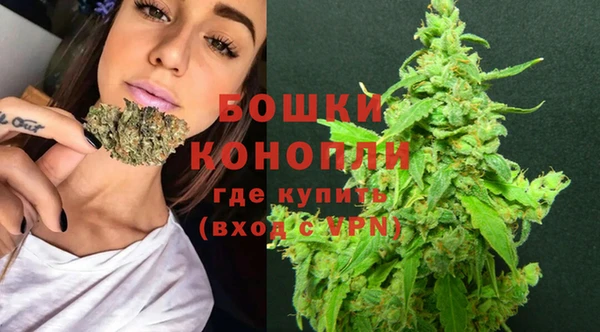 сатива Сосновоборск