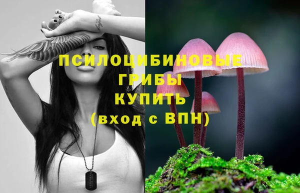 индика Балабаново