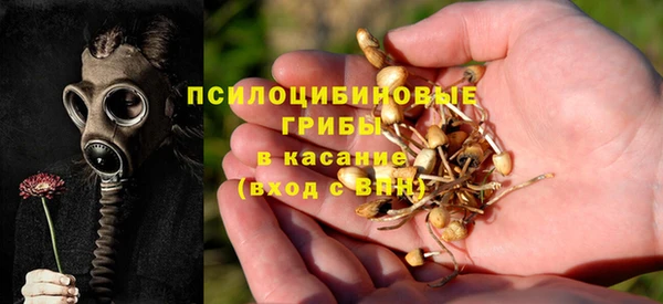 мяу мяу мука Баксан