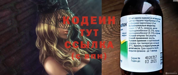 индика Балабаново