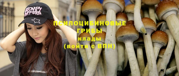 прущая мука Сосновка