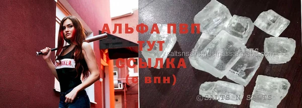 индика Балабаново