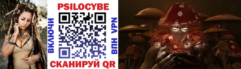 Галлюциногенные грибы Cubensis  что такое наркотик  Голицыно 
