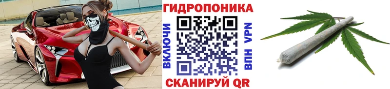 Бошки марихуана конопля  где продают   Голицыно 